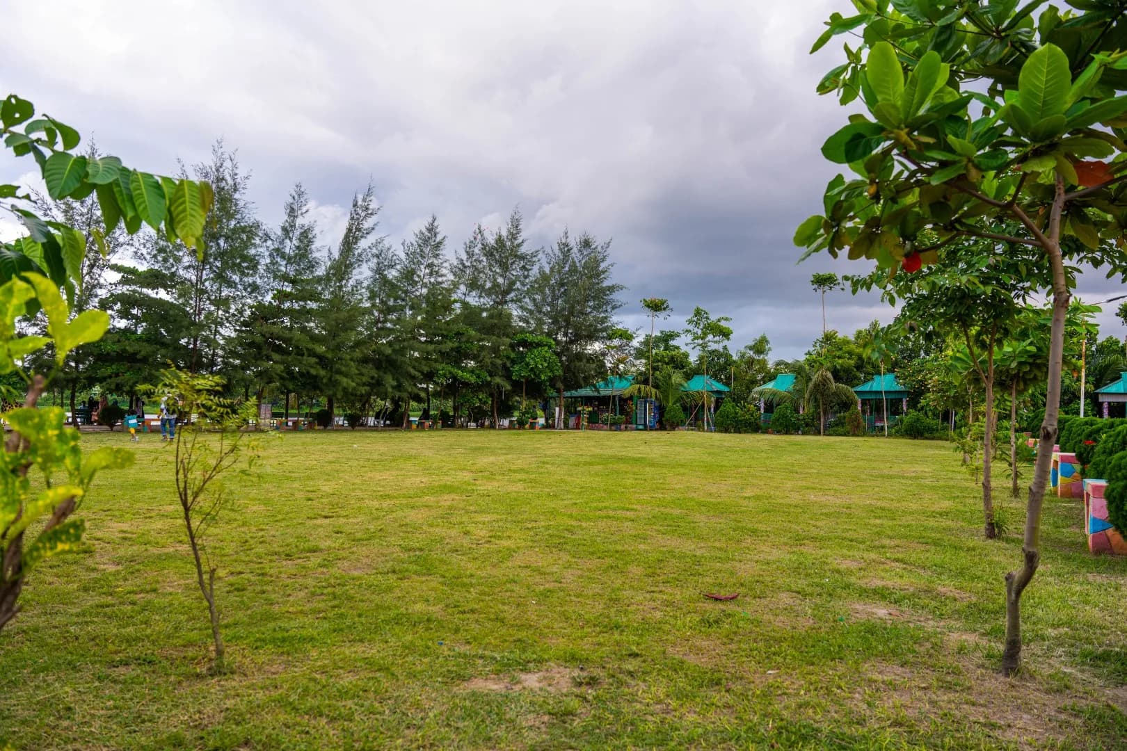 Open Field & Play Ground